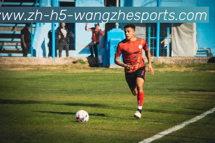 王者体育APP 封面图